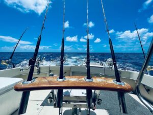 .Angler Seat Fishing Charter 