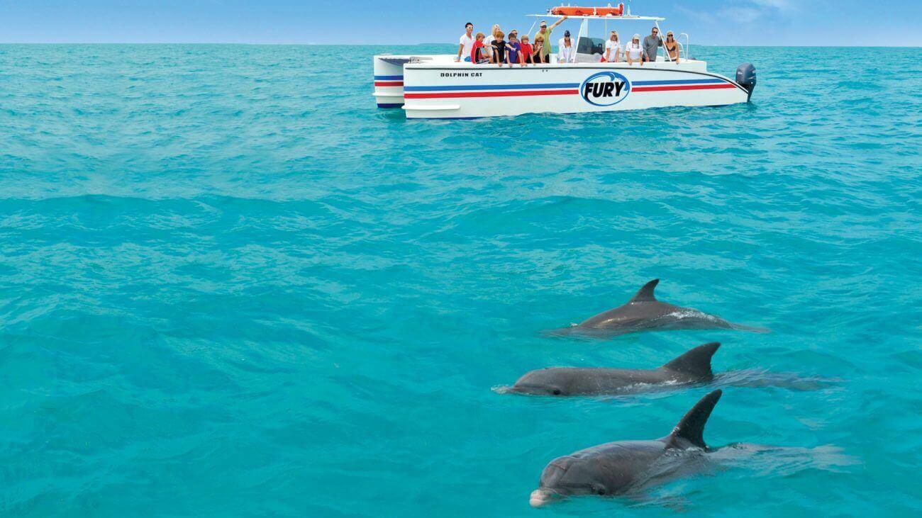 dolphin tours key west fl