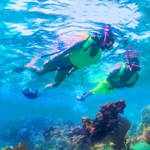 Reef Ritas Snorkel Key West