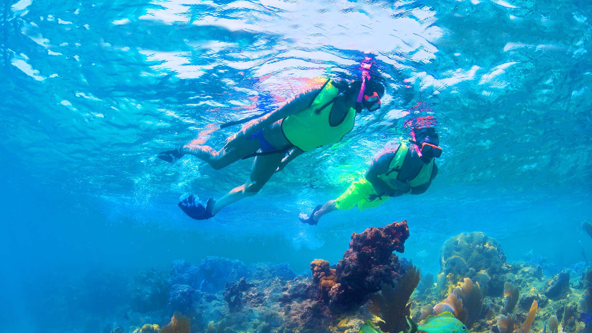 Reef Ritas Snorkel Key West