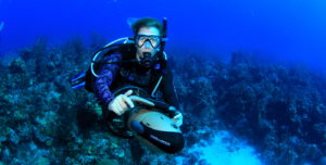 Scuba Diving Vandenberg