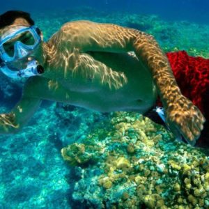 double dip Reef Snorkeling